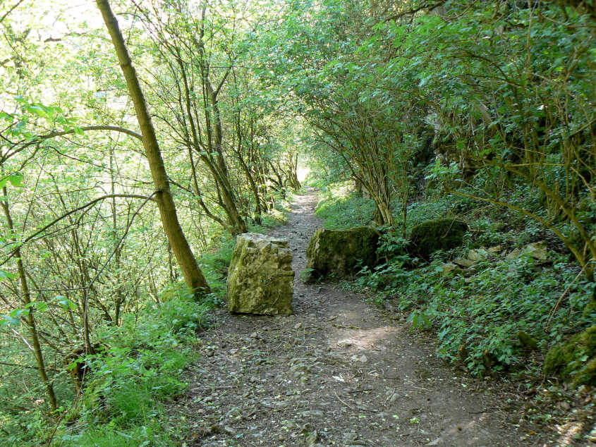 Limestone Way Limestone Way